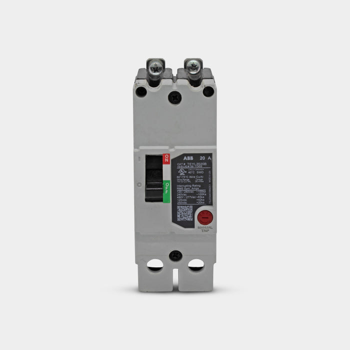 TEYL2020B
